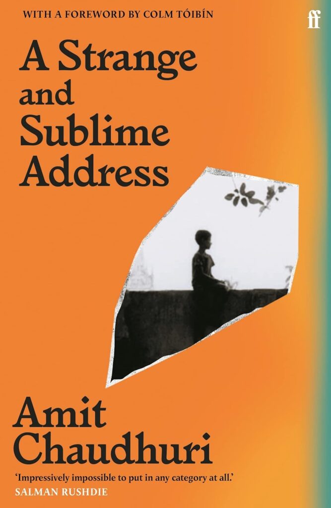 Cover image for A Strange and Sublime Address by Amit Chaudhuri